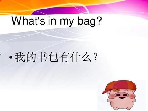 bag是什么意思 （bag是什么意思中文）